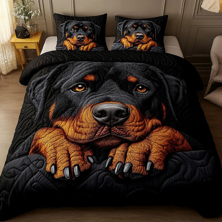 Gentle Gaze 3-Piece Bedding Set